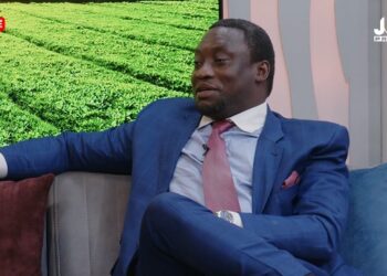 Building dams shows your failure as government – Dr Ankrah condemns 1V1D project