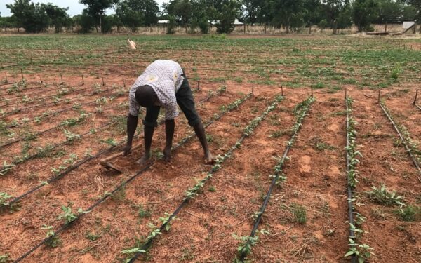 cultivating prosperity celebrating farmers on farmers day