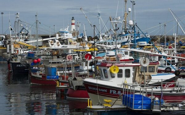 Disappearances of fisheries observers must be investigated – Dr Ali 1 disappearances of fisheries observers must be investigated dr ali