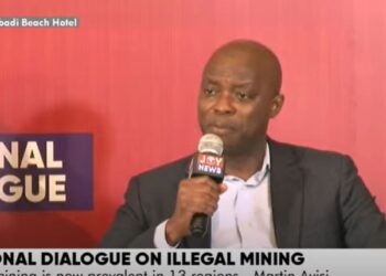 Forestry Commission is not adequately positioned to fight ‘galamsey’ – Hugh Brown
