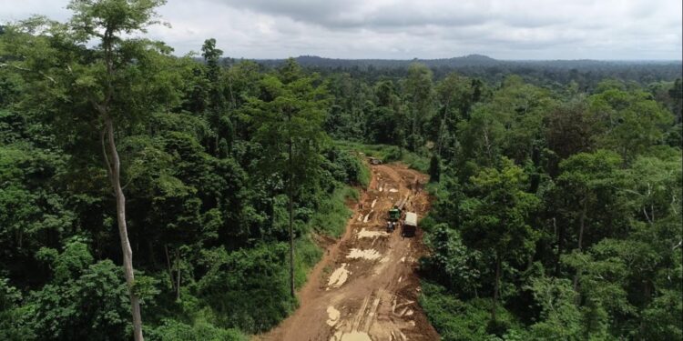 green economy fiag to develop sustainable practices to minimize environmental impact of forest activities