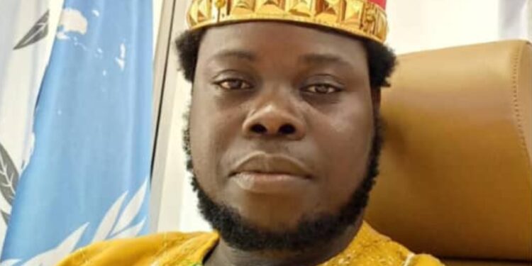 king oyanka appointed west africa minister of education for montessori model united nations