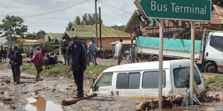 nearly 50 killed by tanzania floods and landslides