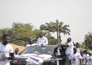 NPP Primaries: Controller and Accountant General to face off incumbent MP, one other for Akim Sweduro seat