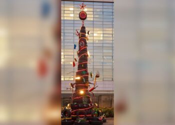 Rana Motors unveils tallest recycled-materials for Christmas tree in West Africa