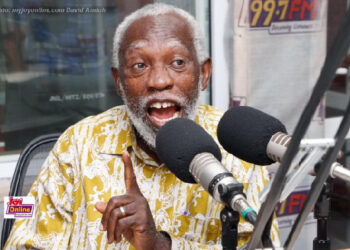 The GRA Board I chaired sought unsuccessfully to end the naked thievery of vehicles and goods by the political elite – Prof Adei