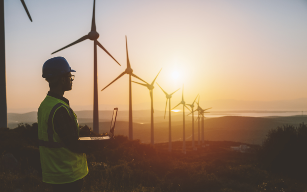 United Arab Emirates (UAE) Makes Play for African Renewables 1 united arab emirates uae makes play for african renewables