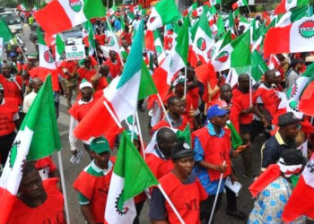 World Bank now our enemy, a threat to our economy – NLC