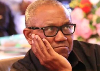 Africa’s growth challenged by leadership failure — Peter Obi