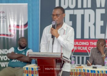 Ensure your children remain committed to NDC – Fifi Kwetey to Voltarians