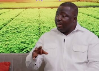 I don’t insult; I speak to issues – Mustapha Gbande