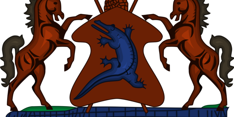 lesotho health minister urges for human papillomavirus hpv vaccination