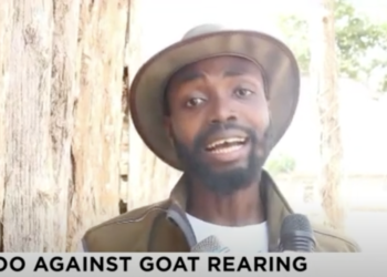 Livestock farmer faces eviction over local taboo despite GH¢1m investment