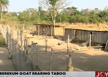 Otokunor offers support to Berekum goat farmer, calls on MoFA to assist him