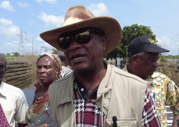 ‘Our relative peace during economic crisis due to patience of Ghanaians’ – Togbe Afede