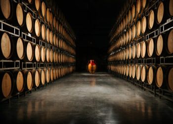 TAGG explores lucrative trade prospects in Hungary’s wine sector and agribusiness