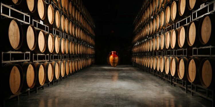 tagg explores lucrative trade prospects in hungarys wine sector and agribusiness