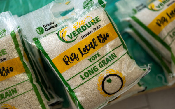 The African Development Bank plans to invest USD 10.5 million in the capital of Seedstars Africa Ventures to boost investment in innovative businesses 1 the african development bank plans to invest usd 10 5 million in the capital of seedstars africa ventures to boost investment in innovative businesses