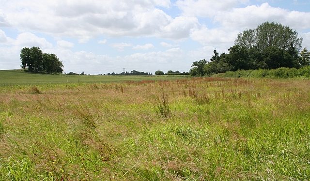 calls for transparency in reinvestment of state lands amid corruption allegations