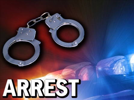 Dormaa Traditional Council’s Anti-Galamsey Taskforce Arrests 15 Suspected Illegal Miners 1 dormaa traditional councils anti galamsey taskforce arrests 15 suspected illegal miners