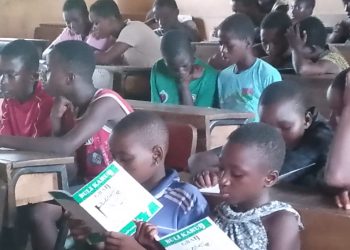 Educational Progress: More than 700 Learners Join Formal Schools in Builsa-North