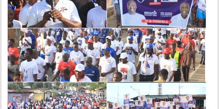 lets campaign until victory is declared patrick boamah to okaikwei central npp