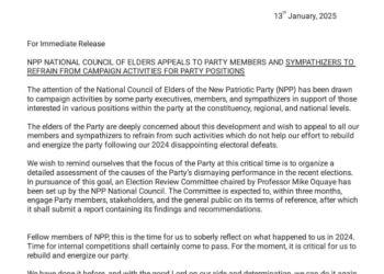 NPP Elders Express Concerns Over Premature Campaigning Amid Electoral Defeat Recovery Efforts