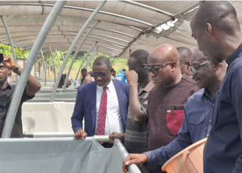 15 CSIR research projects in danger over USAID funding cut