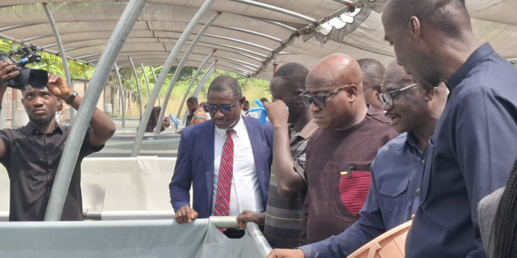 15 csir research projects in danger over usaid funding cut