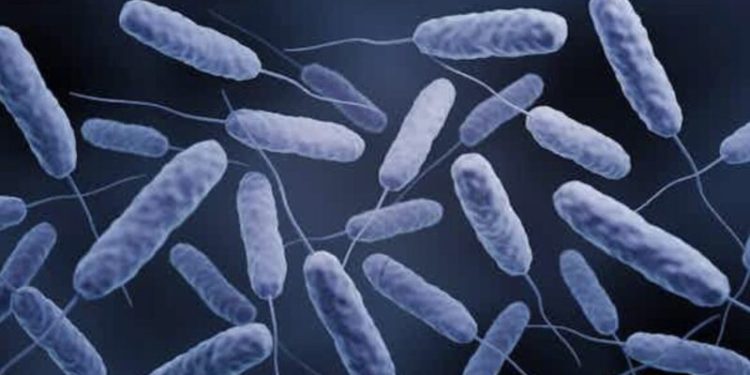 29 cholera cases reported in winneba