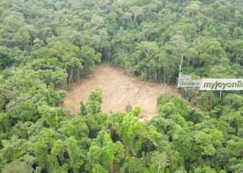 44 of Ghana’s Forest Reserves under siege by armed illegal miners – Lands Minister