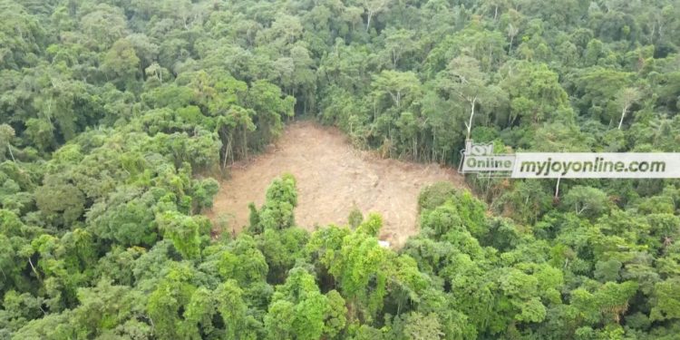 44 of ghanas forest reserves under siege by armed illegal miners lands minister