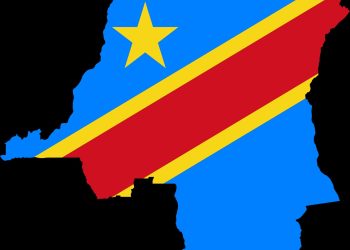 Bamba Youssouf: REMAPSEN condemns DRC killings