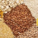 Burkina Faso imposes export ban on grains and cereals 1 burkina faso imposes export ban on grains and cereals