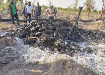 Bushfire sets another yam barn ablaze, farmers appeal for help