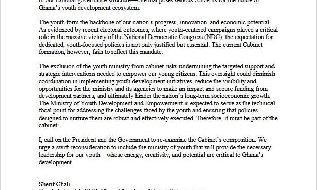 chamber of young entrepreneurs slam youth ministry snub in new cabinet