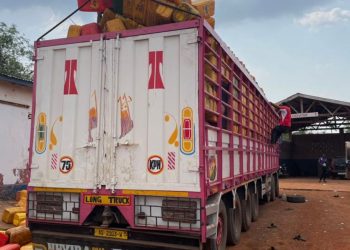 COCOBOD, GRA foil cocoa smuggling attempt at Togo border