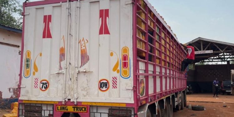 cocobod gra foil cocoa smuggling attempt at togo border