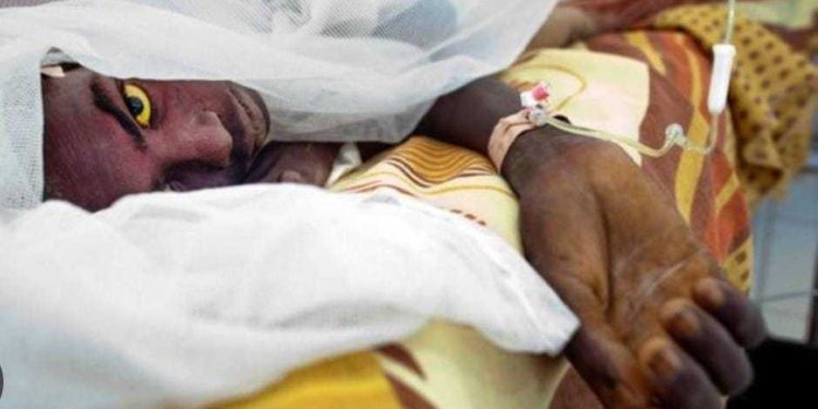 csm outbreak worsens in upper west as cases climb to 60 14 dead