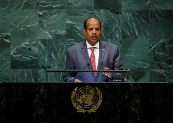 Djibouti’s foreign minister elected to top African Union post