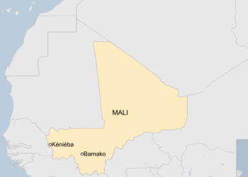 Dozens killed in Mali illegal gold mine collapse