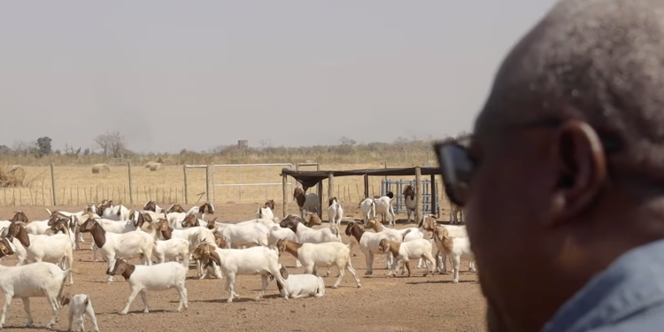 Enimil Ashon: Ghana is blessed; our president is a farmer! 1 enimil ashon ghana is blessed our president is a farmer