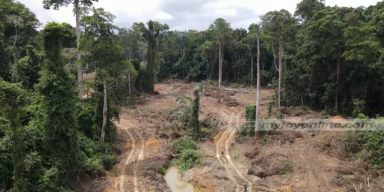 environmental expert urges decisive actions over ultimatum in galamsey fight