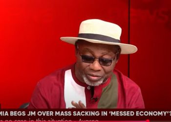 Galamsey fight: Allow NDC some time to engage stakeholders – Yalley