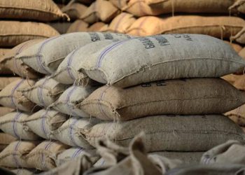 Ghana cocoa arrivals up 70% due to better crop, smuggling crackdown