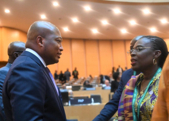 Ghana’s Amma Adomaa Twum-Amoah elected African Union Commissioner for Health, Humanitarian Affairs & Social Development