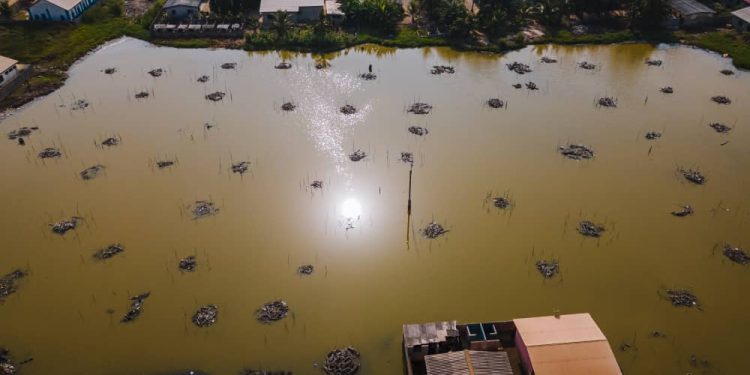 green growth africa strengthens coastal resilience at kedzi in v r