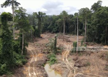 I wish you well, but don’t take galamsey fight lightly – Kofi Bentil to Mahama