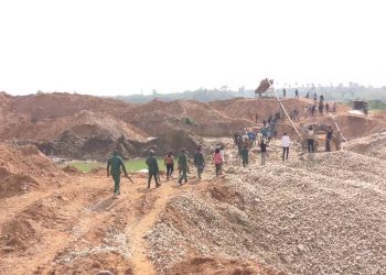 Illegal miners have destroyed over 7,500 football pitches of forest reserve – Lands Minister
