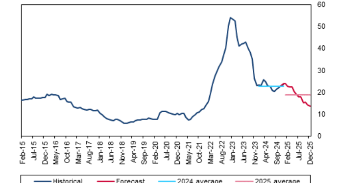 Inflation to end 2025 at 13.6% – Fitch Solutions 1 inflation to end 2025 at 13 6 fitch solutions